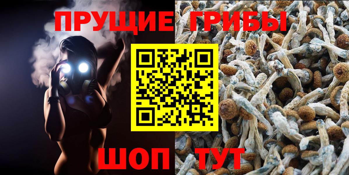 Псилоцибиновые грибы прущие грибы  Галлюциногенные грибы GOLDEN TEACHER  Долгопрудный  Вход с VPN 