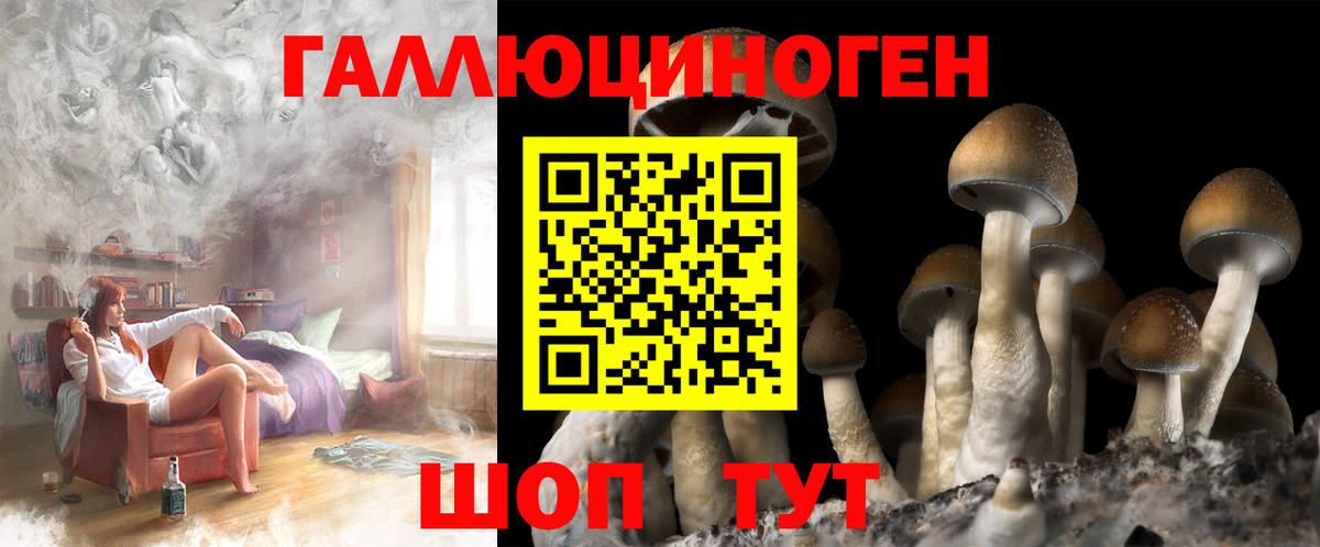 Галлюциногенные грибы прущие грибы Долгопрудный